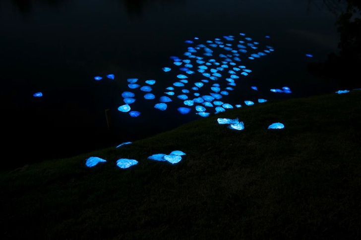 Miya-Ando-Bioluminescent-Leaves-2