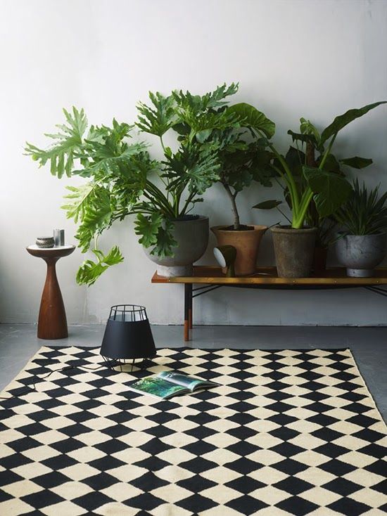 decorazioni di interni con piante e fiori