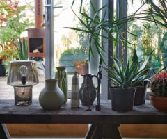Decor tips: circondarsi di piante e fiori