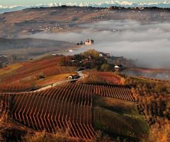 Benvenuto autunno!