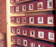 Un po’ di ordine “fai da te”