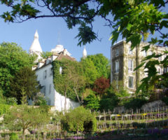 Sorprendente Parigi – Clos Montmartre