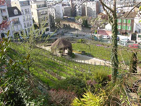 clos Montmartre una meraviglia nascosta a Parigi