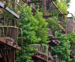 25 Verde, progetto green a Torino