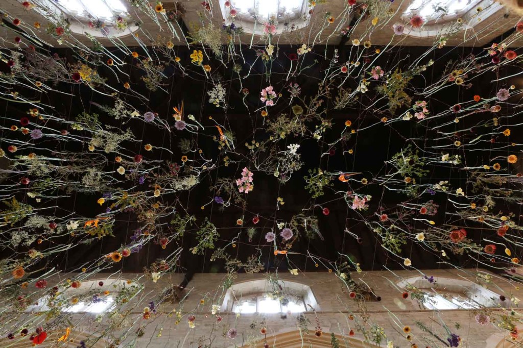 Rebecca Louise Law