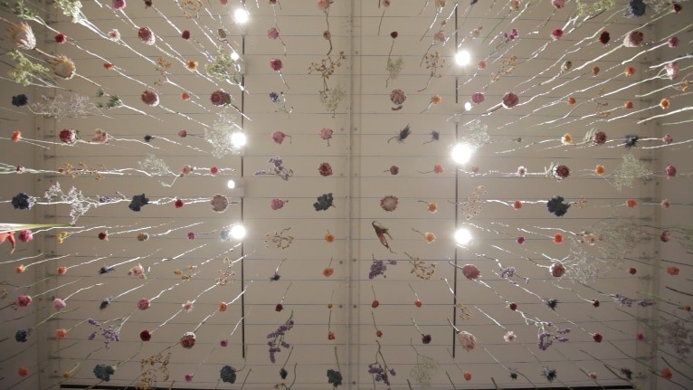 Rebecca Louise Law