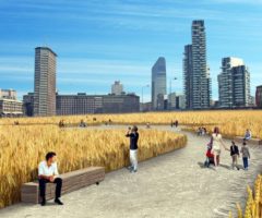 Un Campo di grano tra i grattacieli