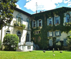 La vigna di Leonardo