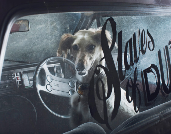 Martin_usborne-dog_9