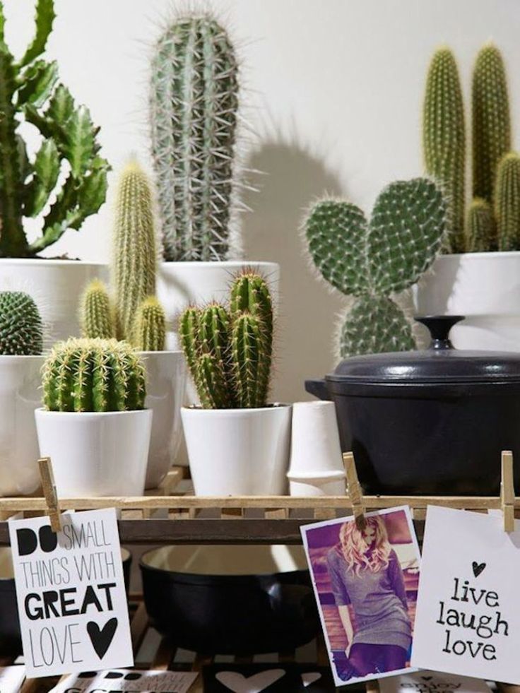Cactus love, hello-hello.fr