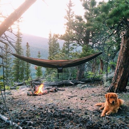 Un po' di relax sotto al cielo estivo