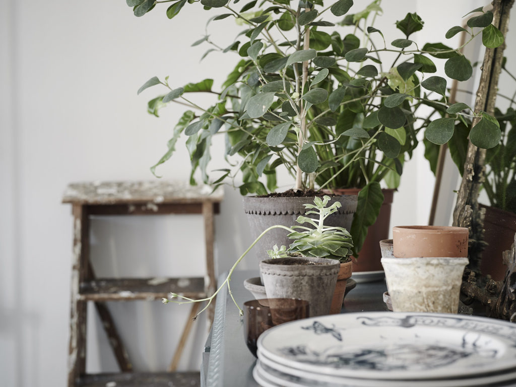 Un po' shabby, un po' nordico