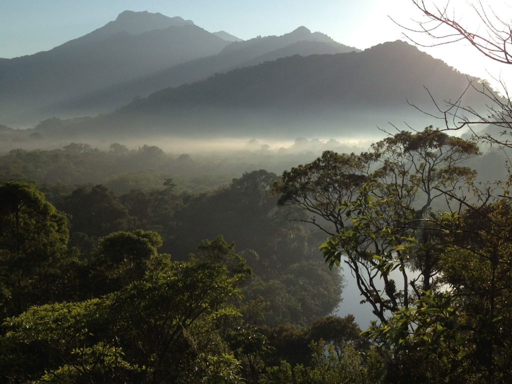 Pousada Picinguaba, Brasile