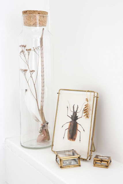 Interno olandese in total white