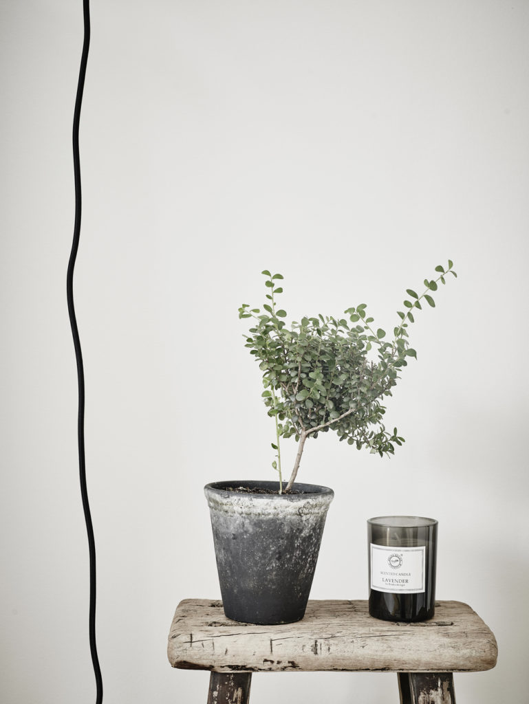 Interno nordico con sedie Thonet