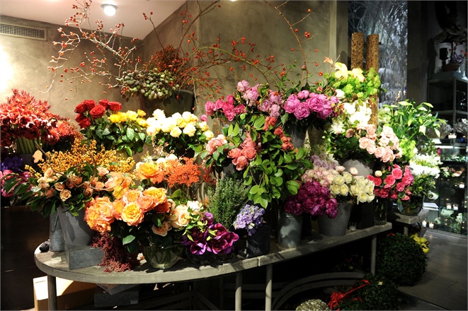 Tearose, Milano