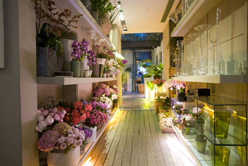 Tearose, Milano