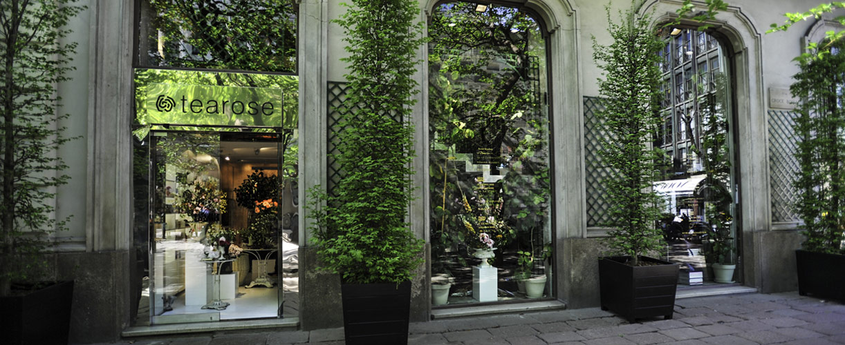 Tearose, Milano