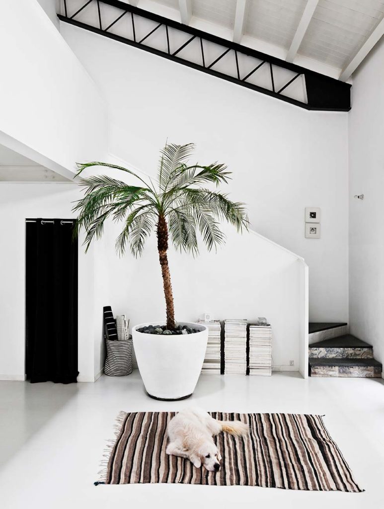 Total white con terrazzo a Milano