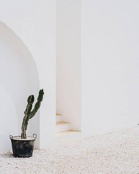 Una vacanza in Masseria vicino a Ostuni Masseria Moroseta 1