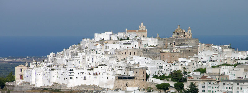 Contrada Lamacavallo s.n., 72017 Ostuni BR Phone: 338 189 9199 ostuni