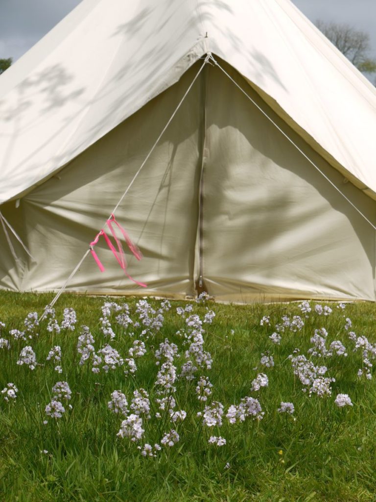 Una location di charme nel sud della Cornovaglia vacanze in una Yurta 3