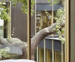 Pear Tree House, una casa progettata attorno ad un albero