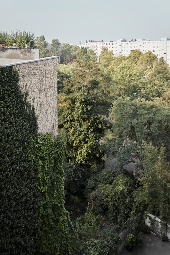 Interno berlinese con terrazza 7