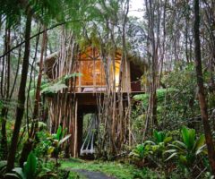 Airbnb series: una casa sull’albero nella giungla delle Hawaii