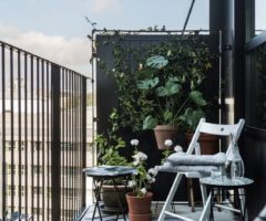 Come creare una piccola oasi verde sul vostro balcone