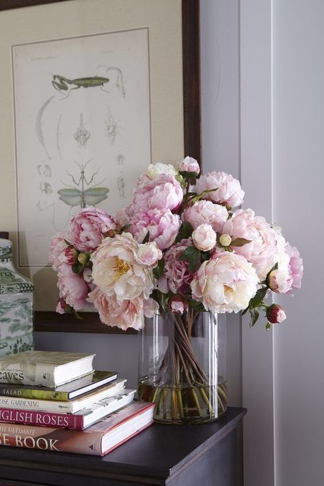 peonie 6