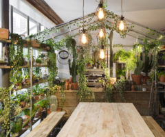 Greenery: la scelta di Pantone per un 2017 freschissimo