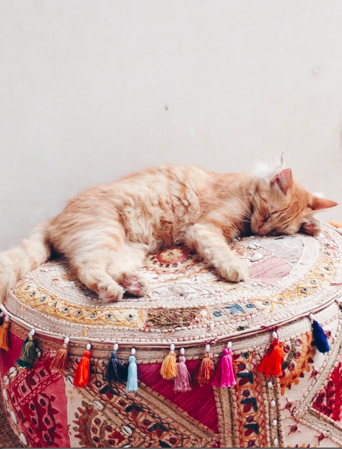 Riad Mena, Marrakesh 2