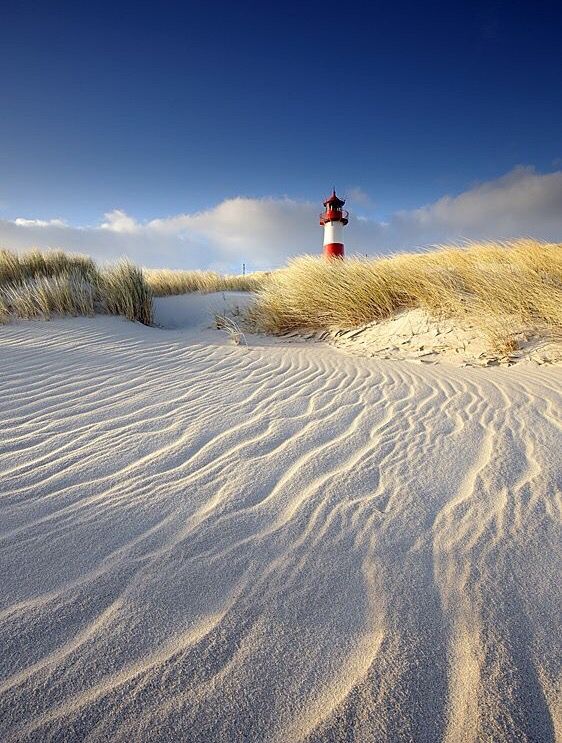 Sylt 2