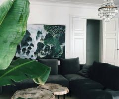 Decor Tips: Pollice verde e arredamento