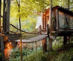 Airbnb series: un’imperdibile casa sull’albero ad Atlanta