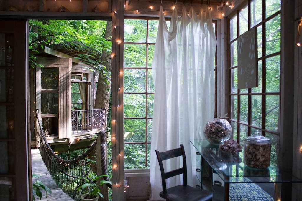 casa sull'albero 5