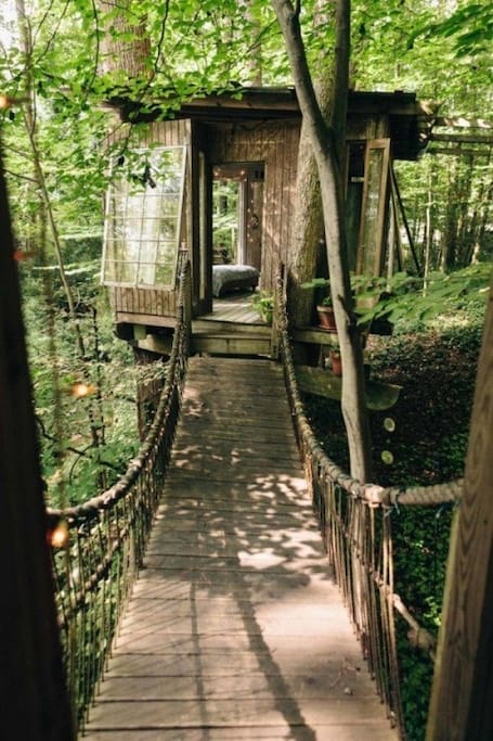 casa sull'albero 6