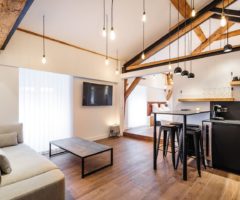 Airbnb series: travi a vista per un piccolo loft a Lione