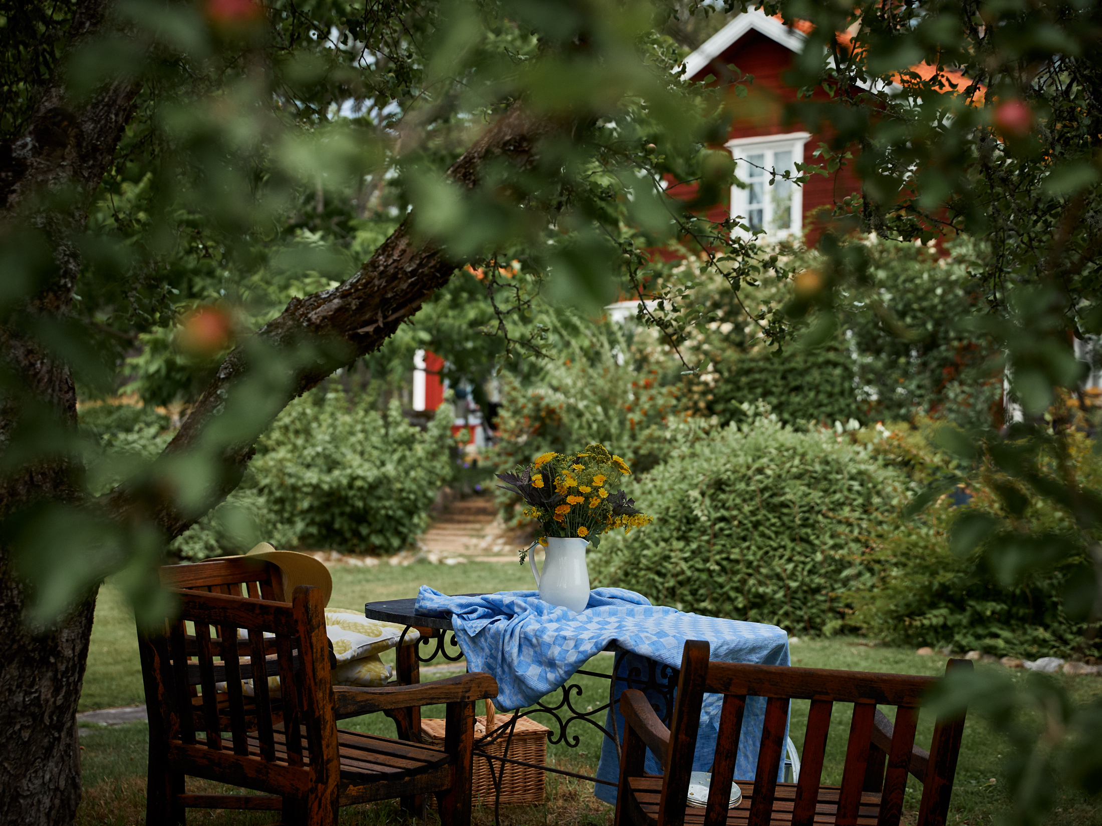 Una casa in mezzo al bosco