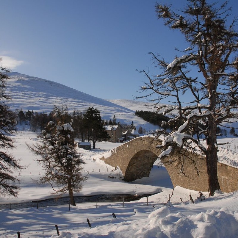 Gairnshiell Lodge 7
