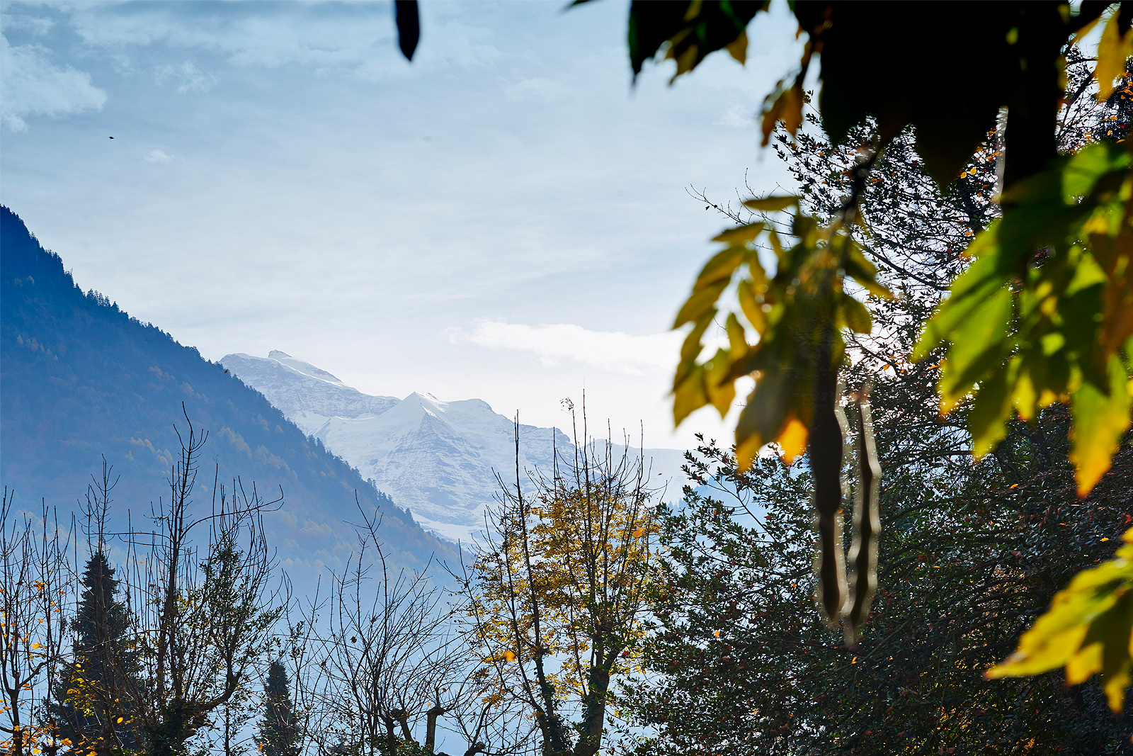 Maison Bergdorf, Interlaken 3