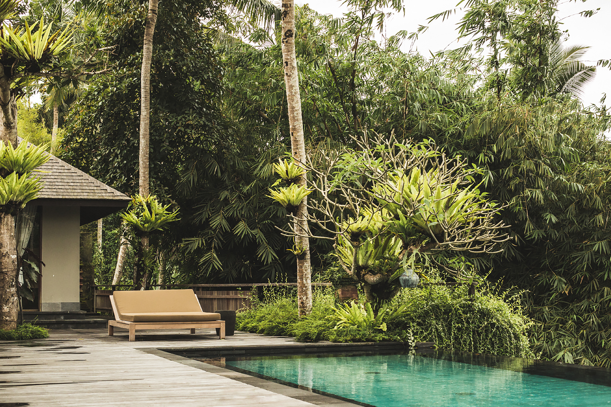 Ubud, Bali 14