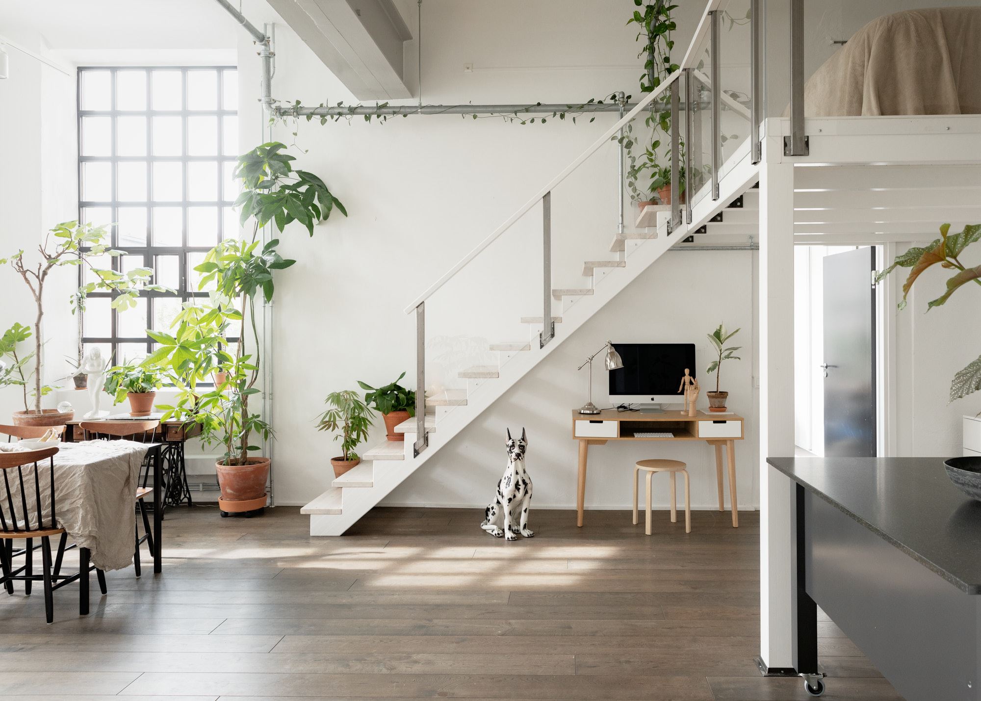 Loft con piante 1