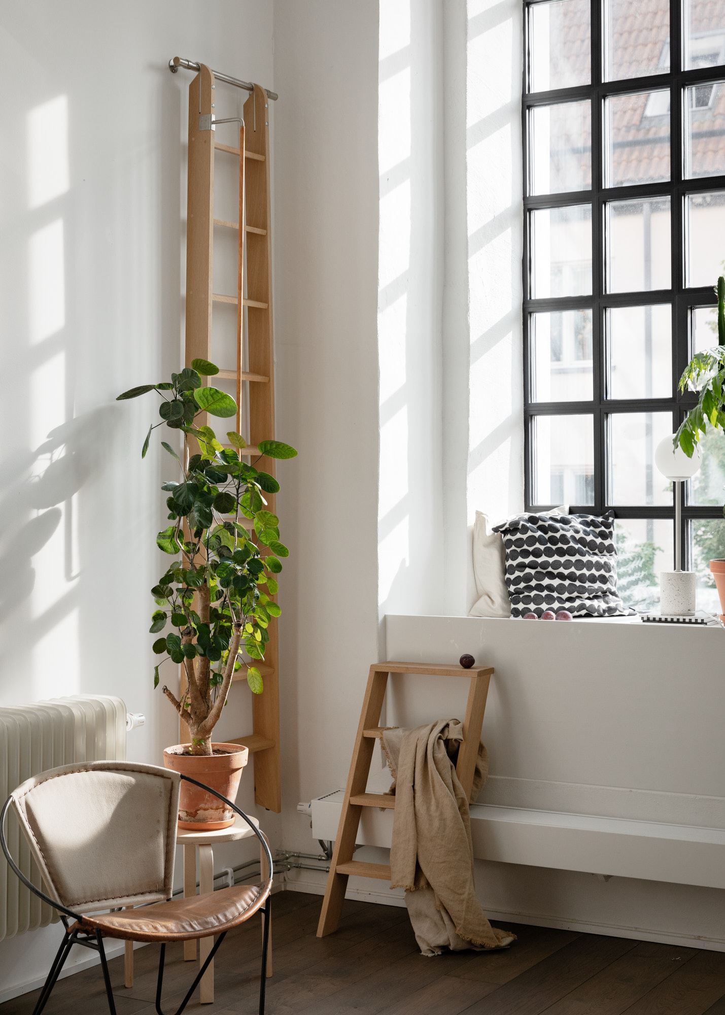 Loft con piante 11