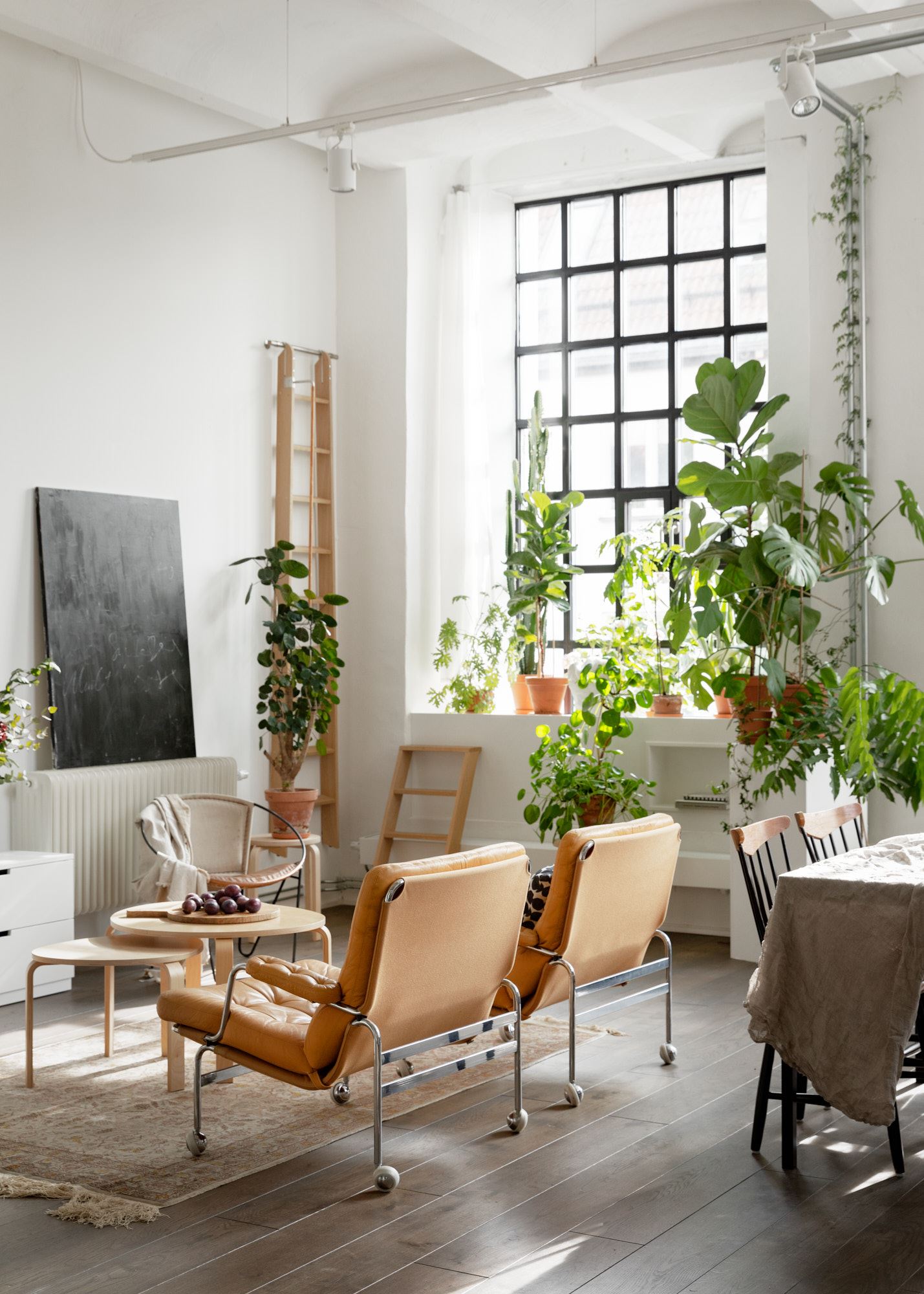 Loft con piante 12