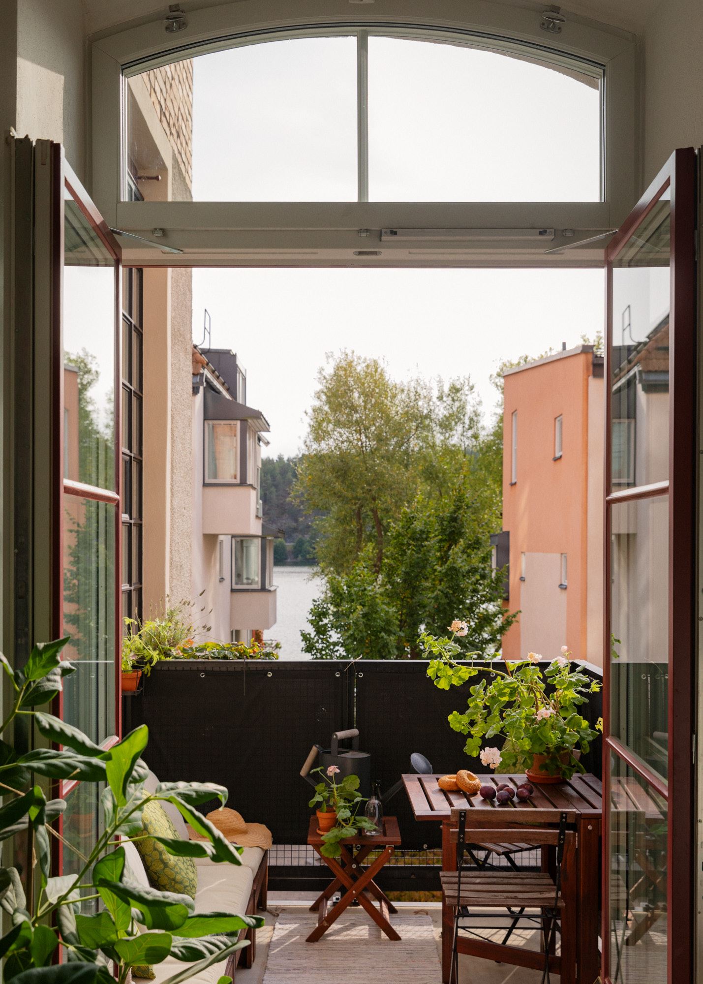 Loft con piante 14