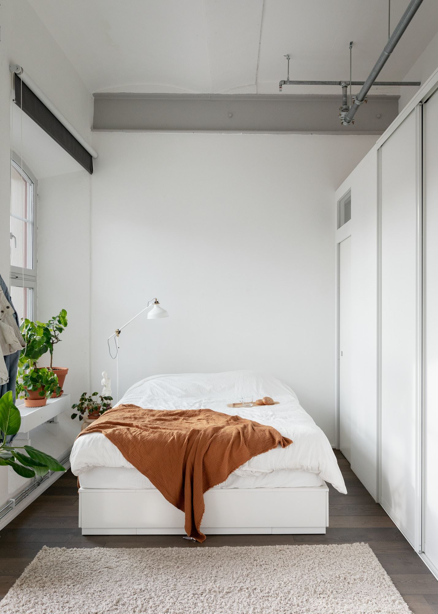 Loft con piante 15