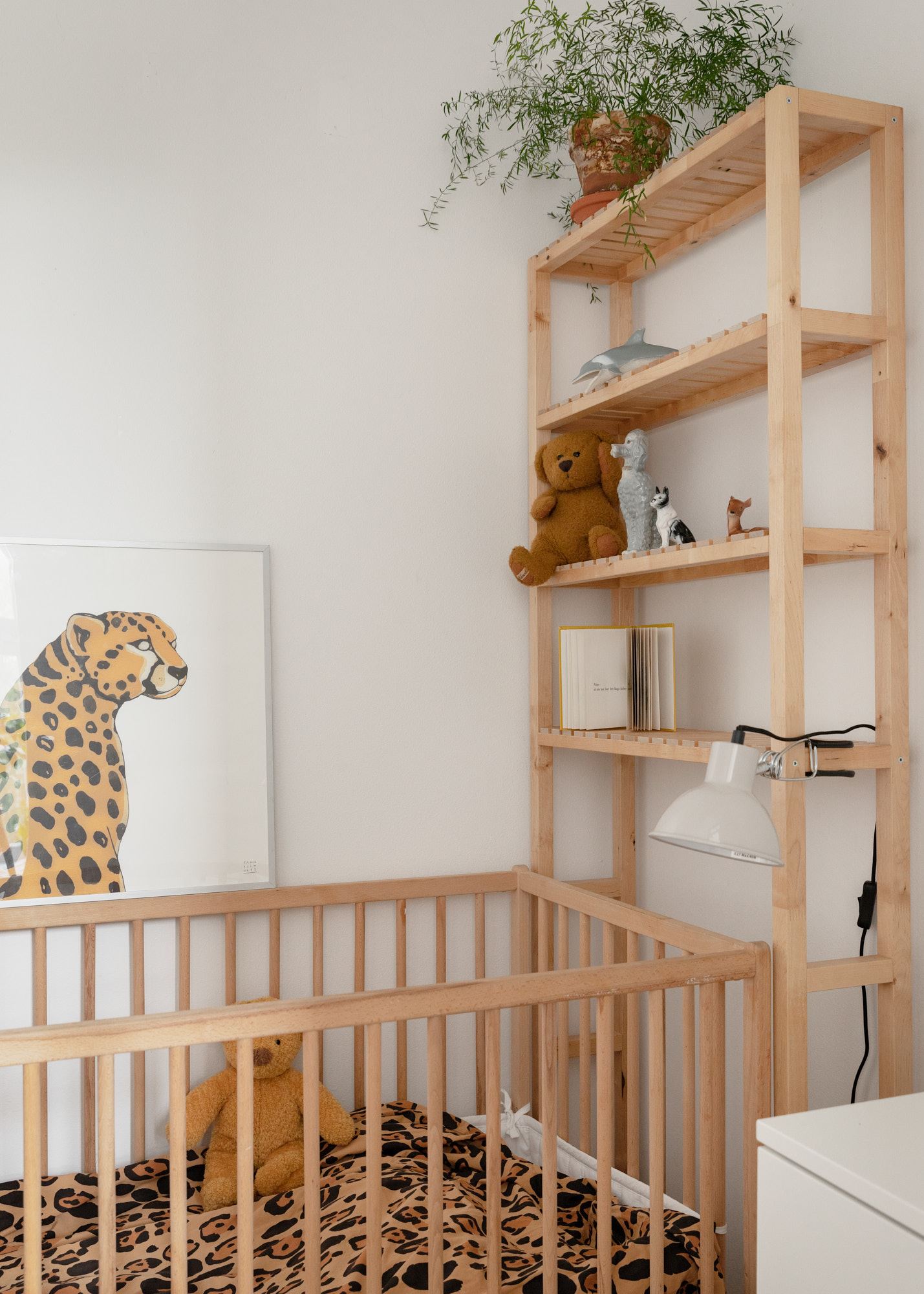 Loft con piante 17