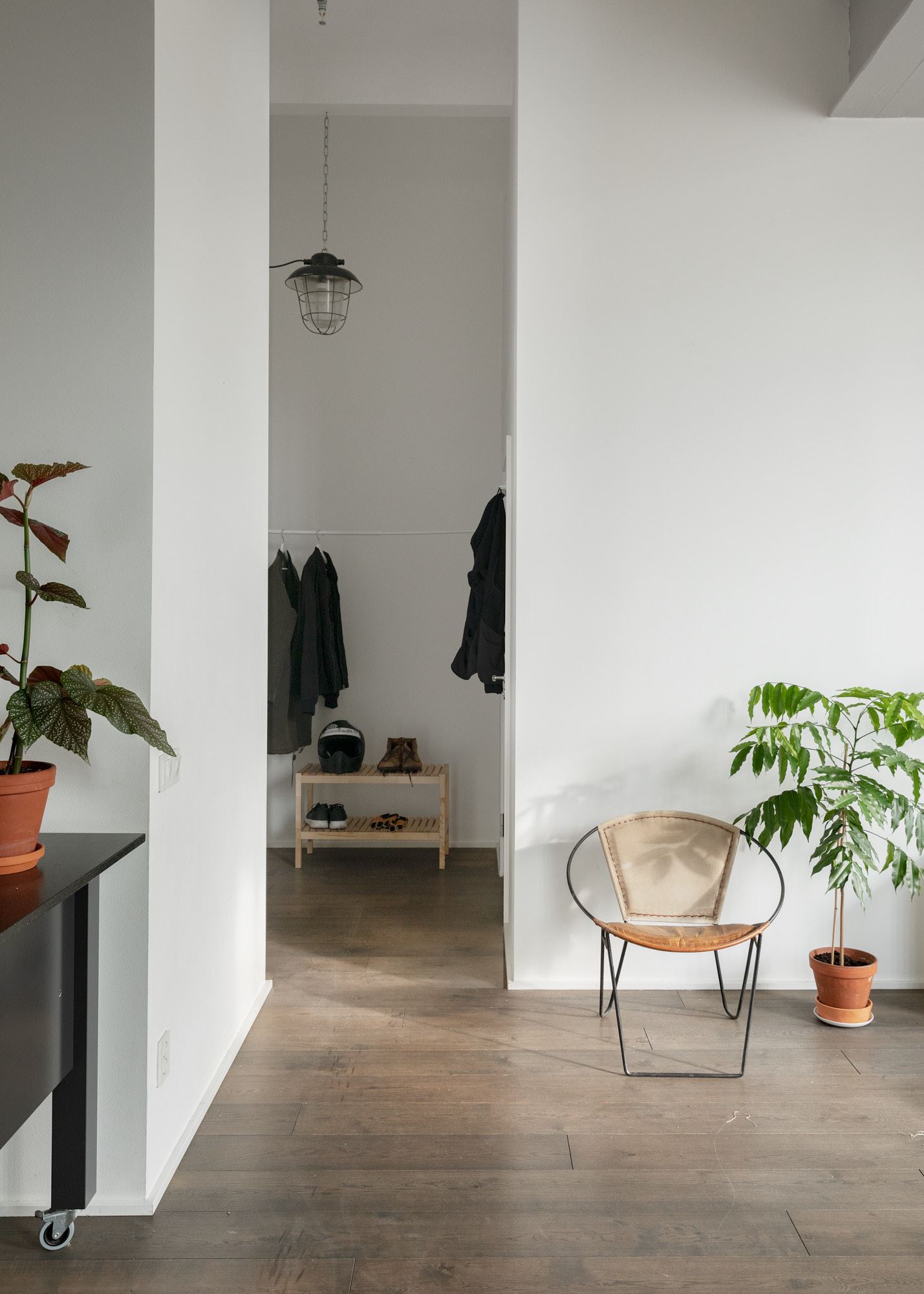 Loft con piante 18